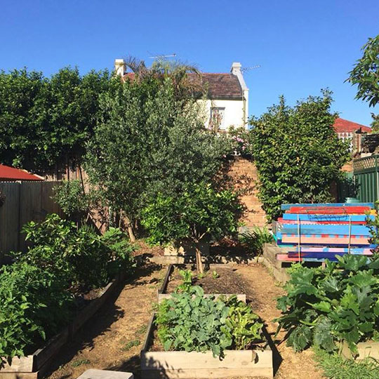 Francis Street Community Garden